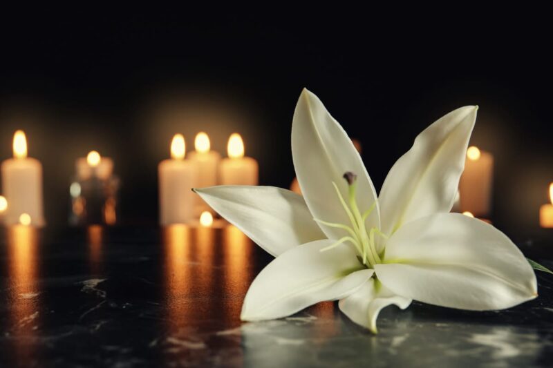 Caleb Wood Lansing, Michigan Obituary, Cause of Death: In Loving Memory of Caleb Wood who Dies Unexpectedly